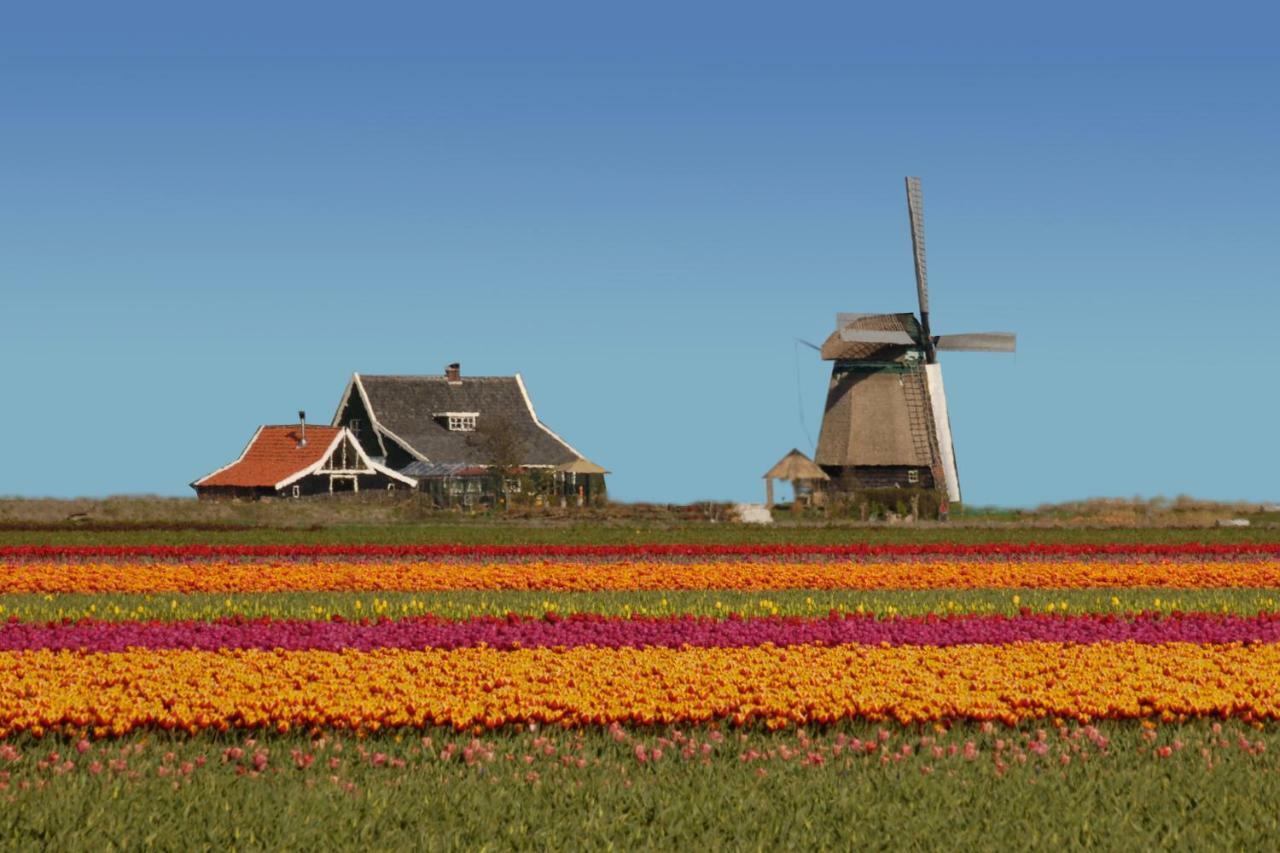 Het Dobbertje, Charmant Houten Huisje Sint Maartensvlotbrug Esterno foto