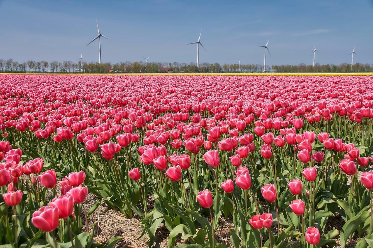 Het Dobbertje, Charmant Houten Huisje Sint Maartensvlotbrug Esterno foto